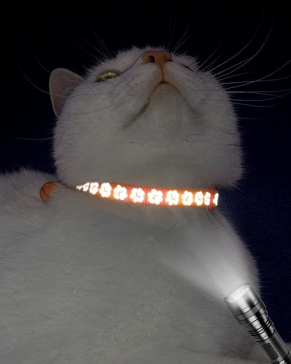 Pacote com 2 coleiras refletivas para gatos, com sino, coleira ajustável para gatinhos, de 7,5 a 12,5 polegadas  Pacote com 2 coleiras refletivas para gatos, com sino, coleira ajustável para gatinhos, de 7,5 a 12,5 polegadas