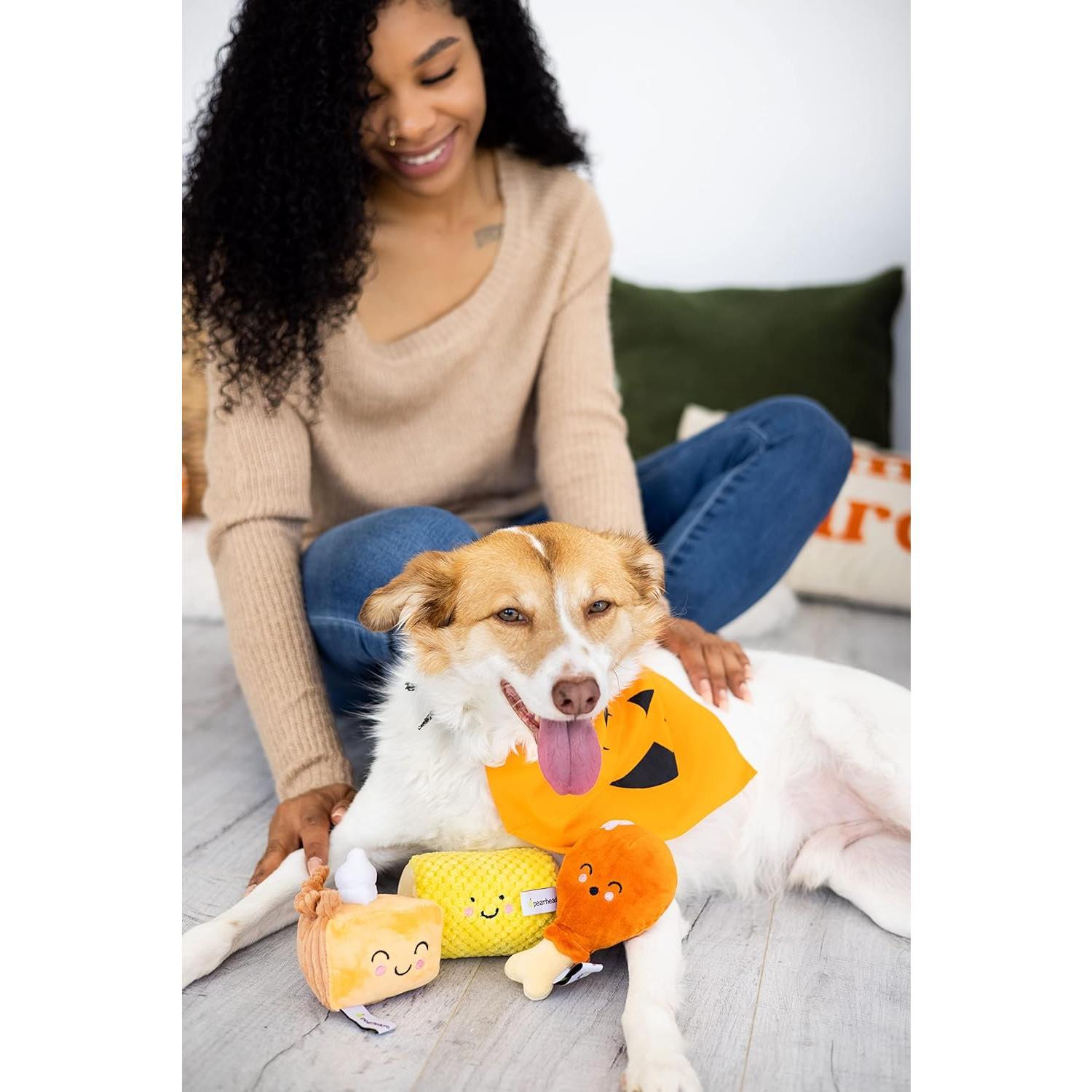 Brinquedos para cães de jantar, conjunto de 3, brinquedos de pelúcia para cães, brinquedos para cães que fazem barulho, brinquedos para animais de estimação de outono  Brinquedos para cães de jantar, conjunto de 3, brinquedos de pelúcia para cães, brinquedos para cães que fazem barulho, brinquedos para animais de estimação de outono