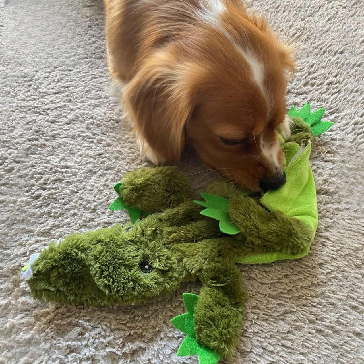 Brinquedos para cães 2 em 1 sem enchimento que fazem barulho com tecido macio e durável para animais de estimação pequenos, médios e grandes, sem enchimento para brincadeiras internas, comporta uma garrafa de plástico - 1 Wild Duck, médio  Brinquedos para cães 2 em 1 sem enchimento que fazem barulho com tecido macio e durável para animais de estimação pequenos, médios e grandes, sem enchimento para brincadeiras internas, comporta uma garrafa de plástico - 1 Wild Duck, médio