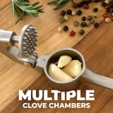 Premium Garlic Press with Soft Easy-Squeeze Ergonomic Handle, Sturdy Design Extracts More Garlic Paste Per Clove, Garlic Crusher for Nuts & Seeds, Professional Garlic Mincer & Ginger Press