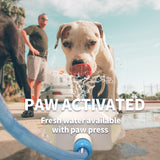 Fonte de água potável para cães ao ar livre, aspersor para cães, pedal de água para cães ativado por pata, fonte de água para cães ao ar livre