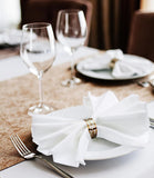 [24 Pack, White] Cloth Napkins 17x17 Inches,Polyester Dinner Napkins with Hemmed Edges, Washable Napkins Ideal for Parties, Weddings and Dinners