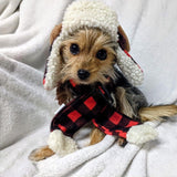 Chapéu para animais de estimação | Antler Buffalo Check (grande) | Acessório festivo de Natal para cães/gatos | Chapéu para animais de estimação de Natal | Alças deslizantes SnugFit para ajuste 